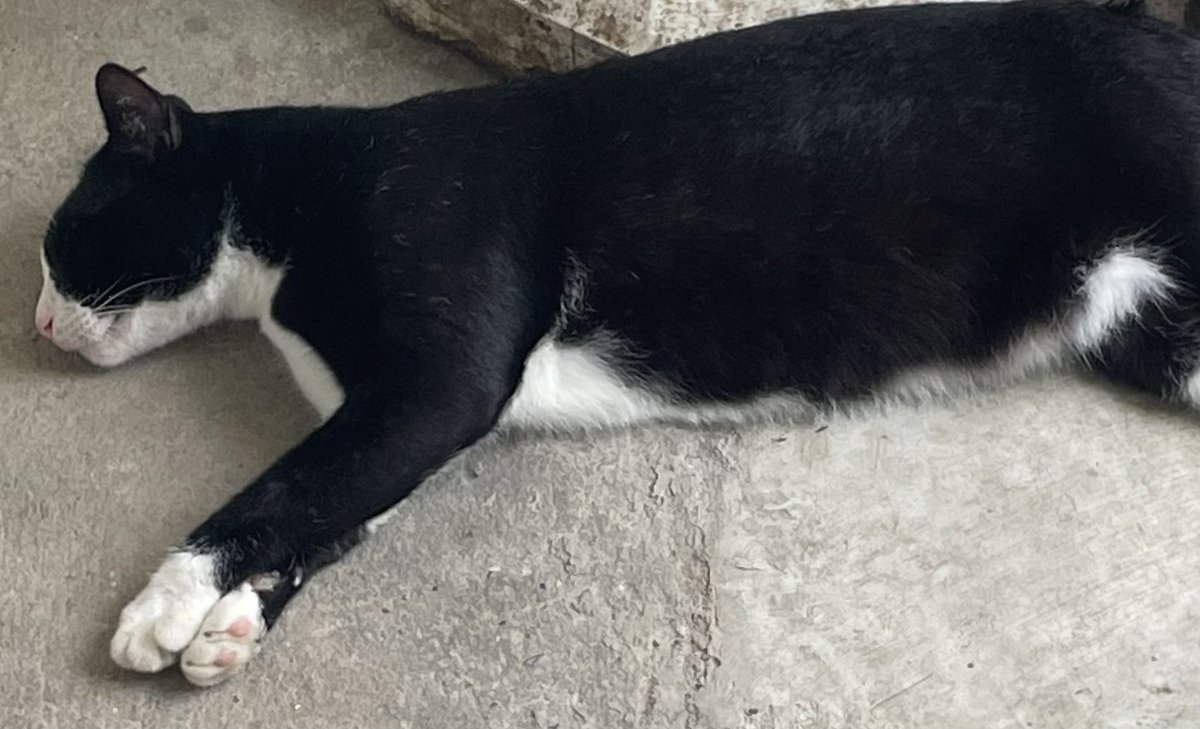 สวัสดีครับผมนวล ตอนนี้ผมคร่อ-