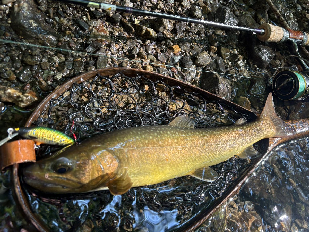 黄金の魚✼33枚全131話 源道与一 - البحث / X