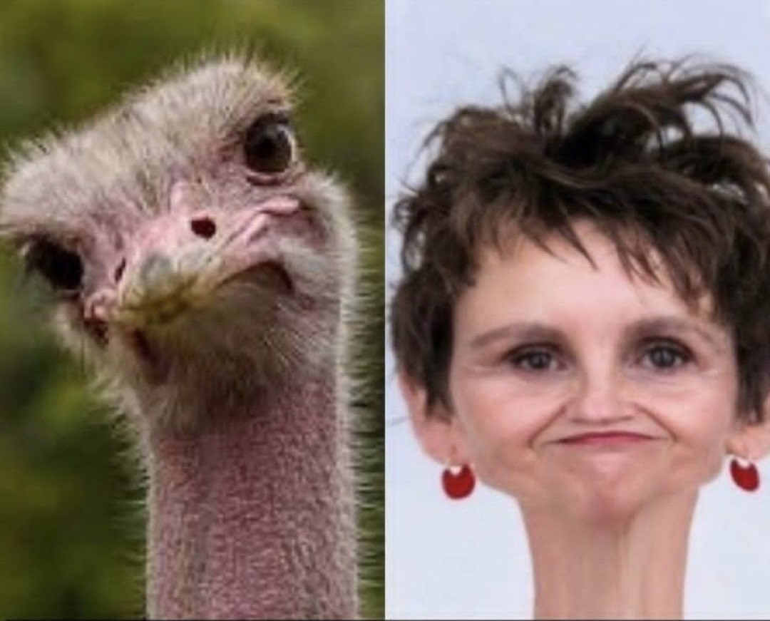 Adivinen quien está en depresión.
#Primarias2025