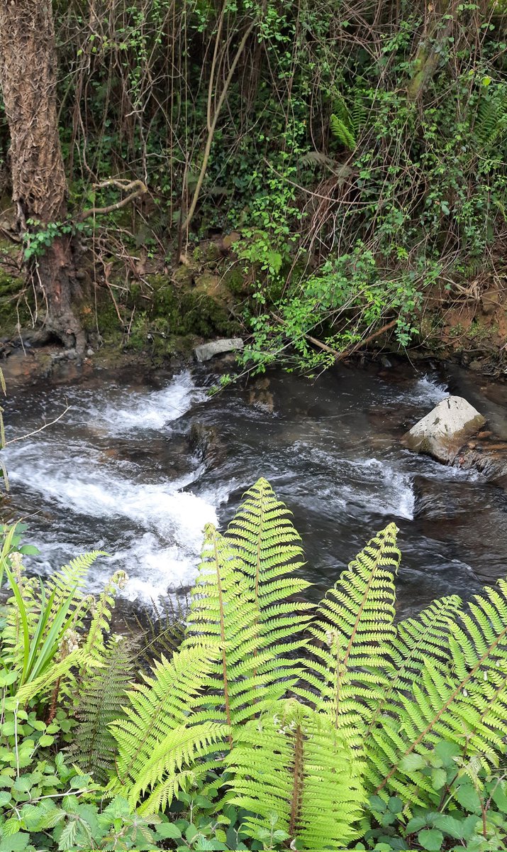 Itsasoa itsaso,
ibaiaren ederra
errekaren xarma.