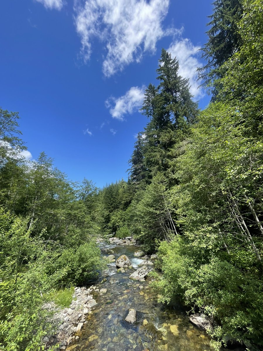 R_Queen88's tweet photo. Absolutely needed get away!! This weekend could not have been any better! ♥️Friends♥️Family and a damn good spot!♥️ #WAState #Summer #Camping #NeverTell #FindYourOwn https://t.co/9ZrMhSbQQR