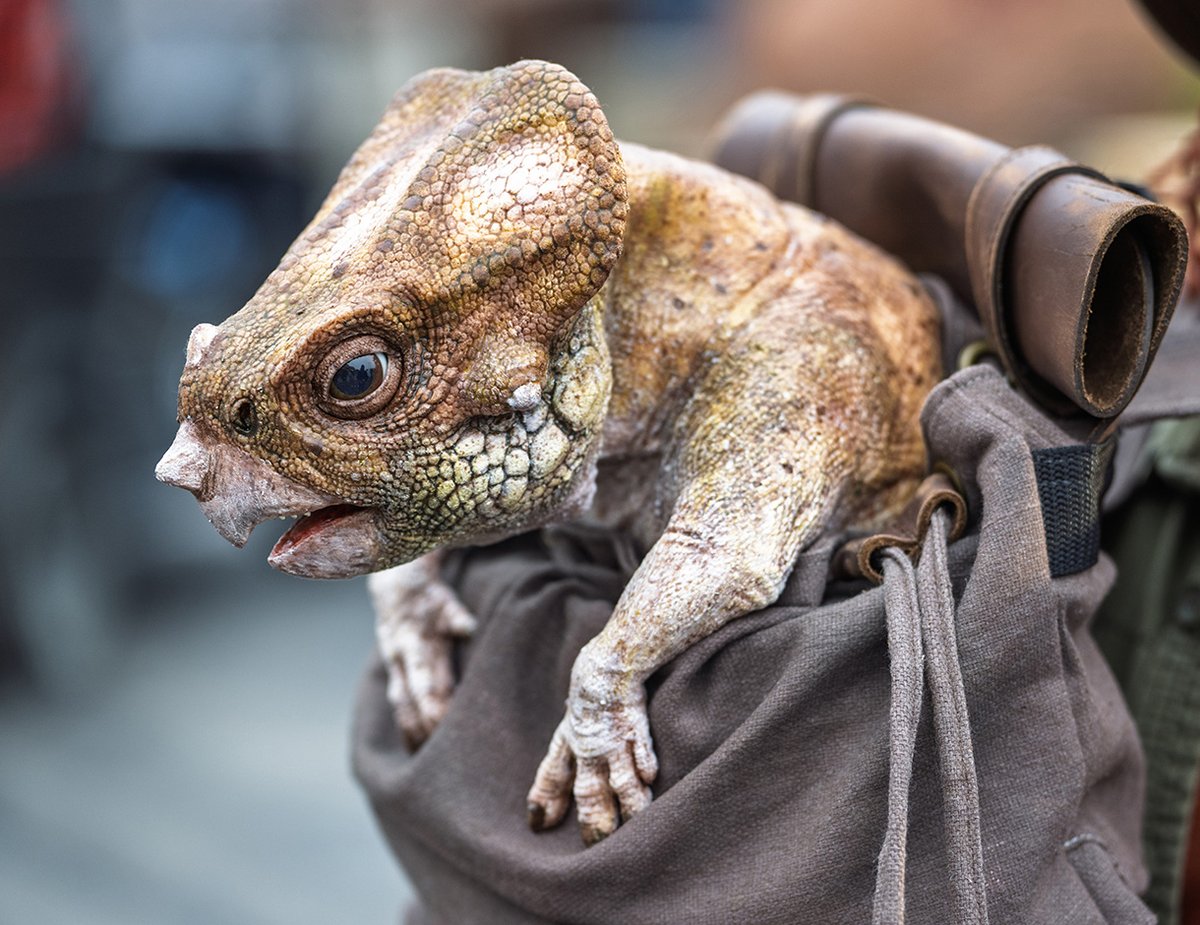 🎬あの映画のドロレスが登場❣／ 本日よりジュラシック・パークエリア