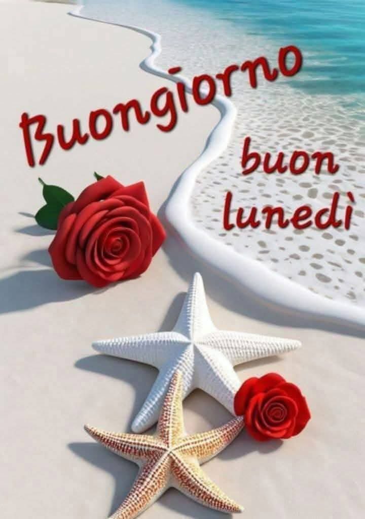 RITABIANCHi56 tweet media