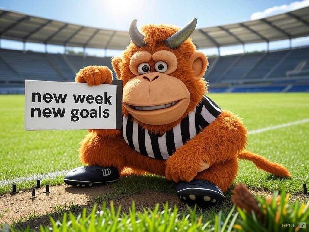 Good morning Team☕️

New week, new opportunities. Let’s go grab them all and make the week a successful one💪