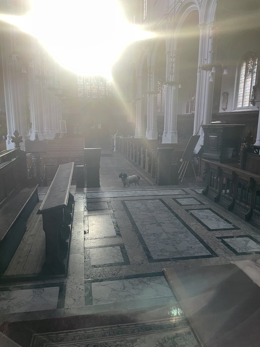 Winni in @StMaryAldermary on the last day of June with reflected light