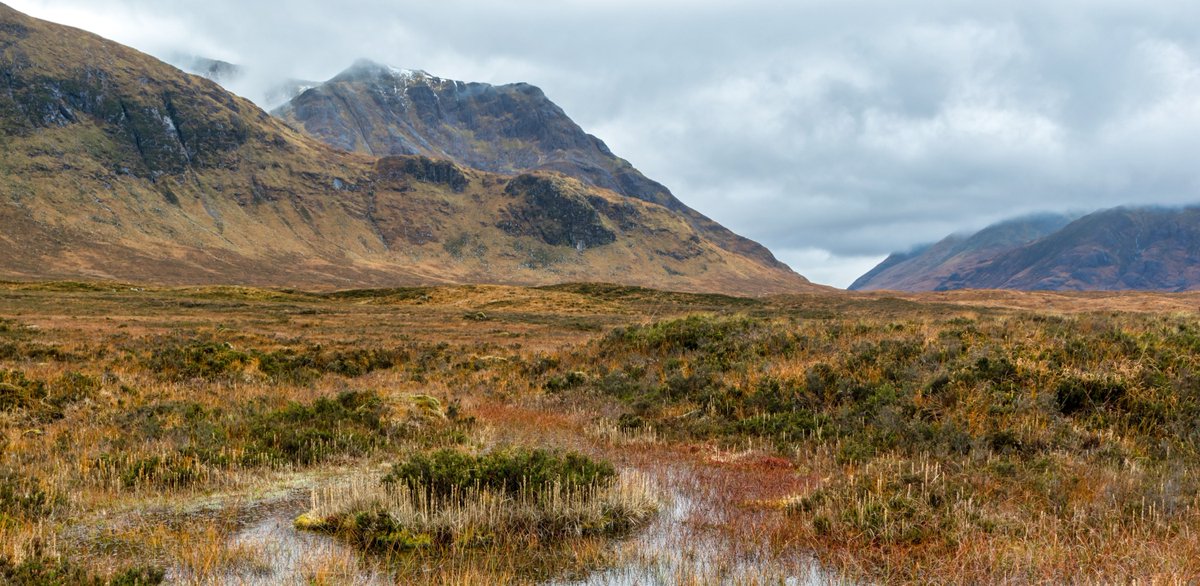 Green Alliance (@greenallianceuk) on Twitter photo Scotland could soon make history as the first UK nation to criminalise #ecocide aka severe, reckless harm to nature.
In our latest blog, <a href="/jodiebettis/">Jodie Bettis</a> from the <a href="/OpenUniversity/">The Open University</a> discusses how this bold legal move could set a global precedent: buff.ly/Lyyxf9A Scotland could soon make history as the first UK nation to criminalise #ecocide aka severe, reckless harm to nature.
In our latest blog, <a href="/jodiebettis/">Jodie Bettis</a> from the <a href="/OpenUniversity/">The Open University</a> discusses how this bold legal move could set a global precedent: buff.ly/Lyyxf9A