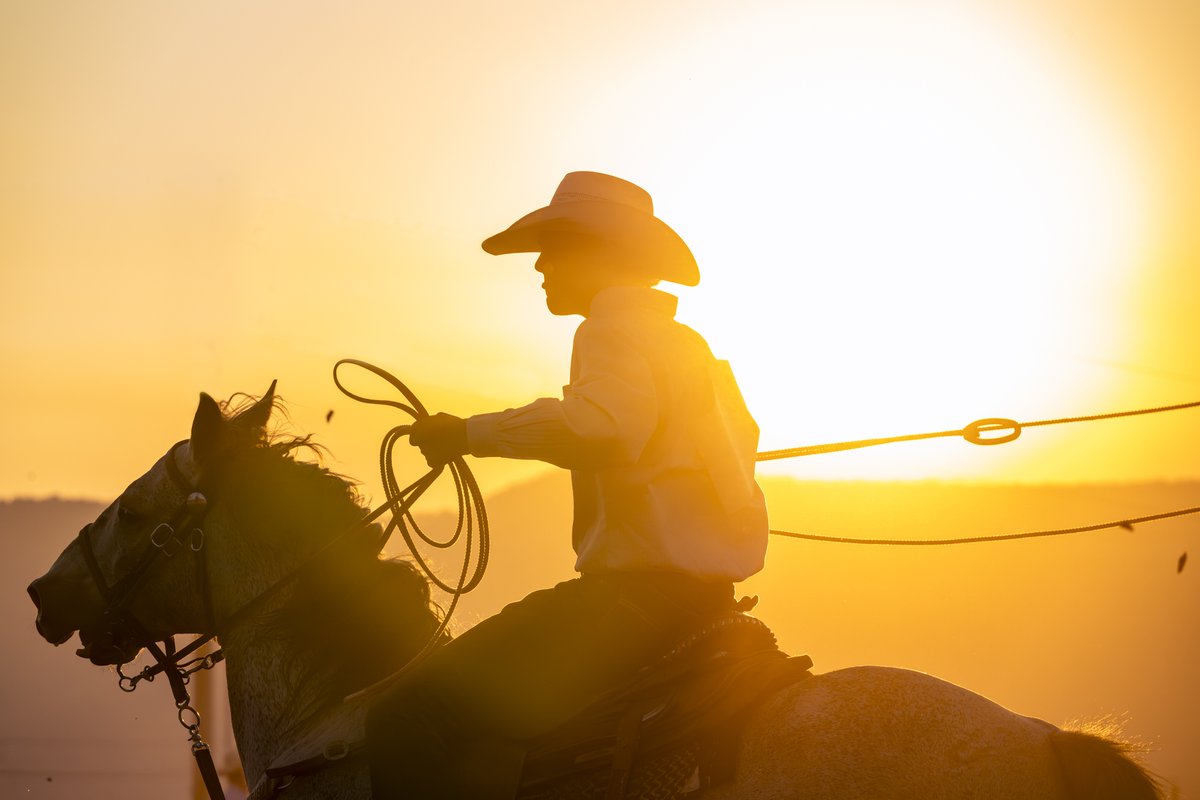 scgstudiocom's tweet photo. Jacob Hamblin Days Rodeo 2025 #Utah #Kanab #JacobHamblinDaysRodeo #scgstudiocom https://t.co/LmK1etneTi