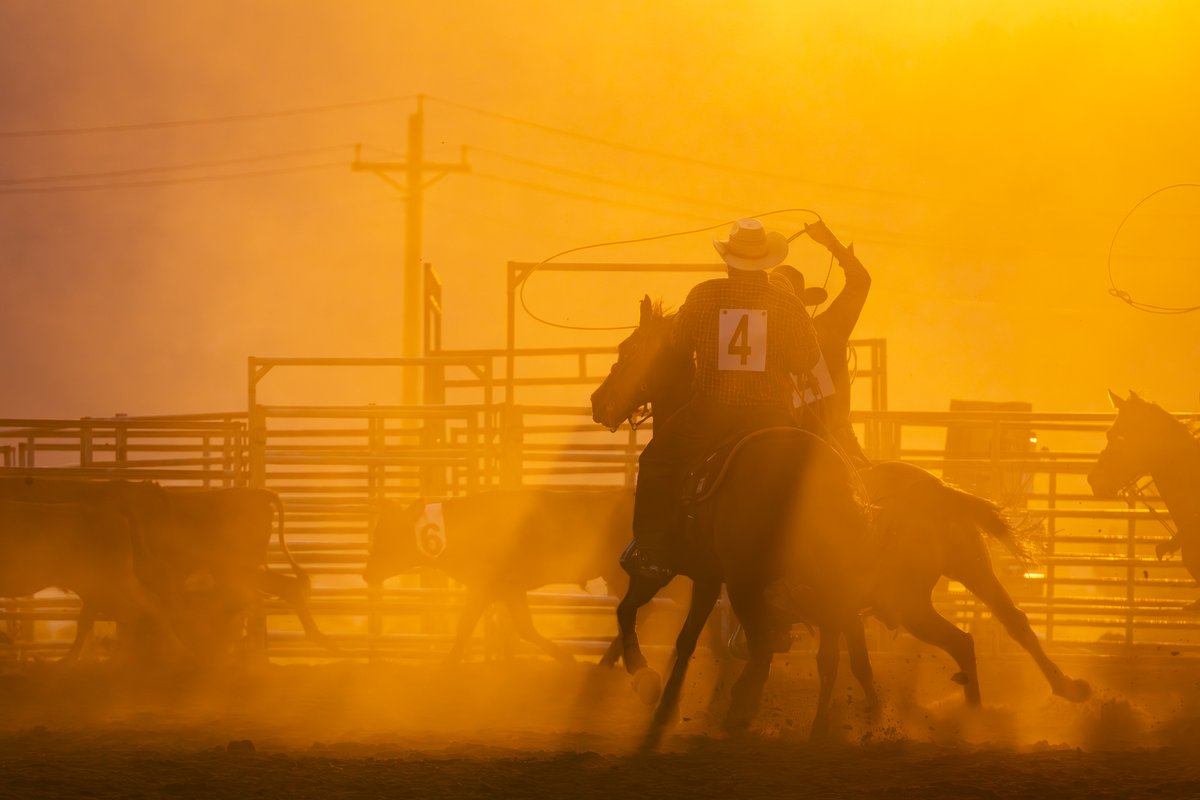scgstudiocom's tweet photo. Jacob Hamblin Days Rodeo 2025 #Utah #Kanab #JacobHamblinDaysRodeo #scgstudiocom https://t.co/LmK1etneTi