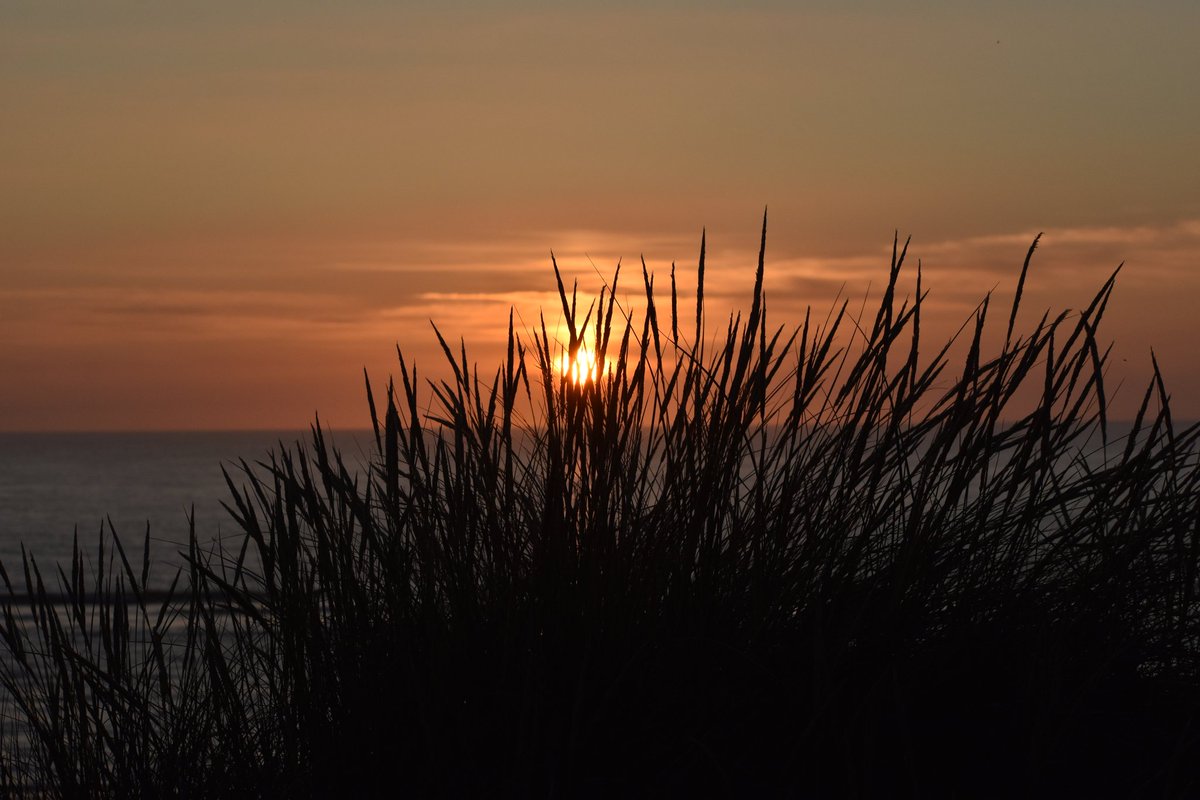 David Bridges (@dbridges64david) on Twitter photo This mornings sunrise off the North Norfolk coast at Bacton! <a href="/WeatherAisling/">Aisling Creevey</a> <a href="/ChrisPage90/">Chris Page - Weatherman</a> <a href="/itvweather/">ITV Weather</a> <a href="/itvanglia/">ITV News Anglia</a> This mornings sunrise off the North Norfolk coast at Bacton! <a href="/WeatherAisling/">Aisling Creevey</a> <a href="/ChrisPage90/">Chris Page - Weatherman</a> <a href="/itvweather/">ITV Weather</a> <a href="/itvanglia/">ITV News Anglia</a>