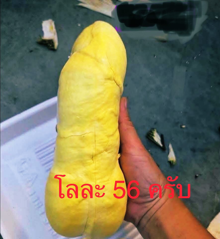 Wtk810100440142's tweet photo. ช่วงนี้ทุเรียนล้นตลาด 👌👌👈👈💦💦 https://t.co/ivkD2VUJhk
