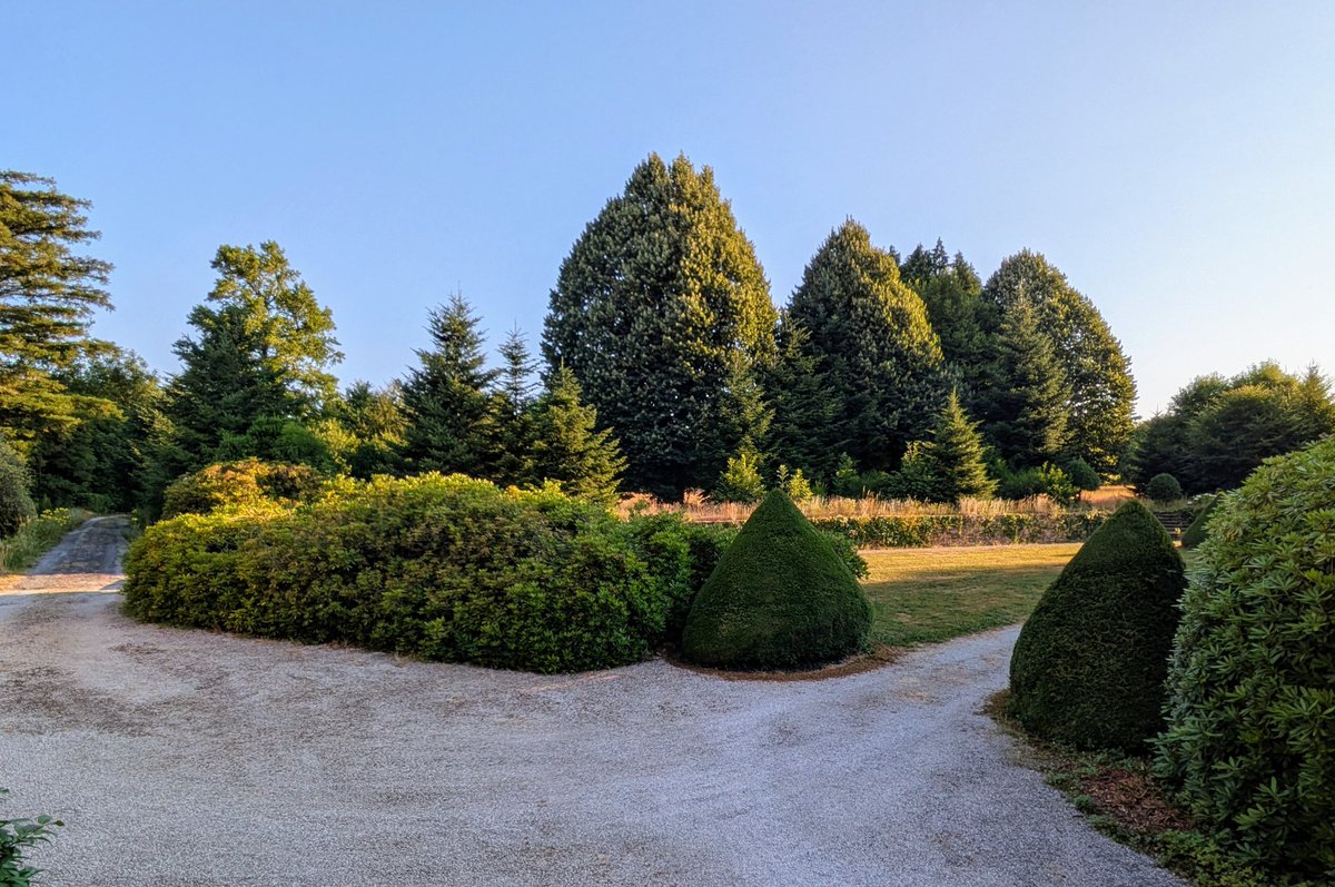 faulknerdrew's tweet image. Good morning!
View from my office this morning 😎
Going to be a hot one! ☀️🔥