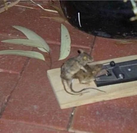 Bo wszystko ma swoje priorytety....