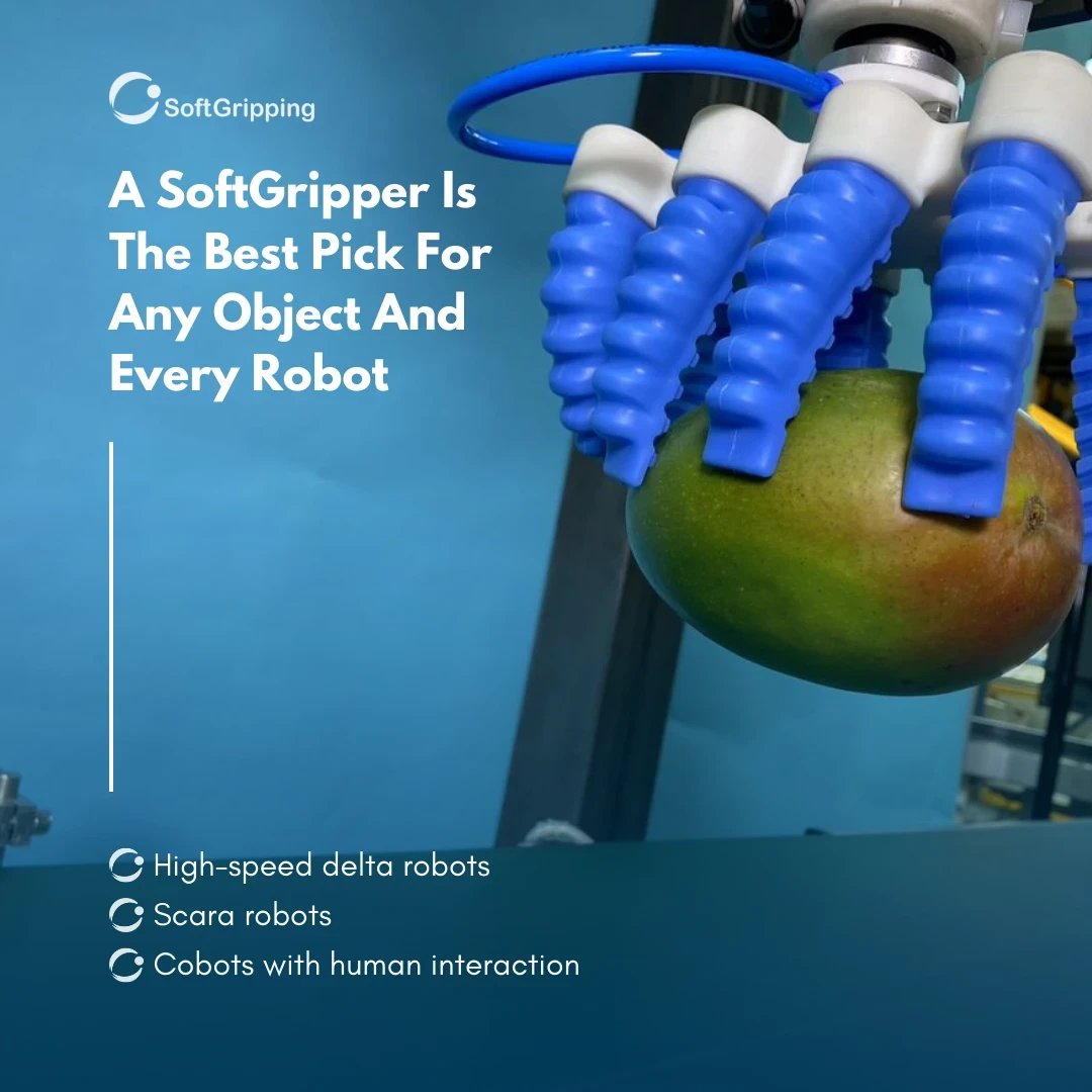 SoftGripping tweet media