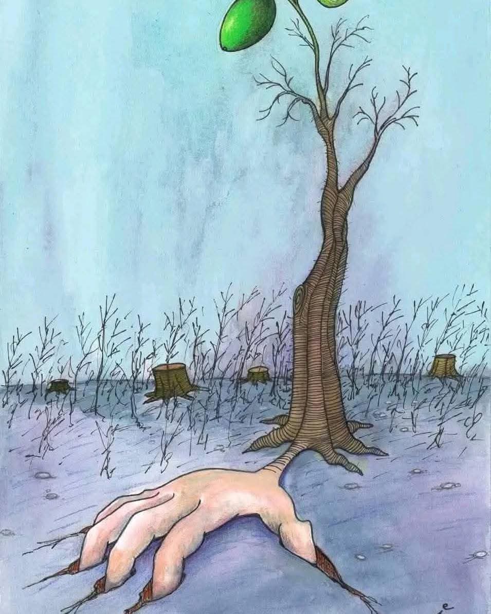 Dünyada kesilmesi yasak olan başlıca iki ağaç, Zeytin ve Sakız ağaçlarıdır...
Dünyadan, doğadan ve çocuklarımızın güzel geleceklerinden nefret eden bir grup merhametsiz ve aç gözlü kesmediği müddetçe sonsuza kadar yaşarlar...
Zeytin, sonsuzluktur.......🫒🫒🫒