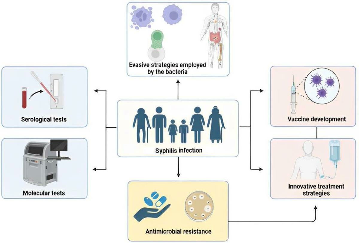"Advancing #Syphilis Research: Exploring New Frontiers in #Immunology and Pharmacological Interventions"
👥James Oluwagbamigbe Fajemiroye, Osmar Nascimento Silva, et al. (2023)
Enjoy reading👉mdpi.com/2674-0710/2/4/…
#epidemiology