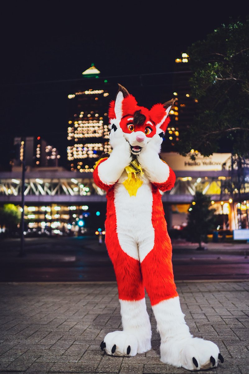 EchoFoxeh's tweet image. Just a cutie foxy lost in a big city ✨

🪡 @PrimalSuits 
📸 @vsabertoothv
