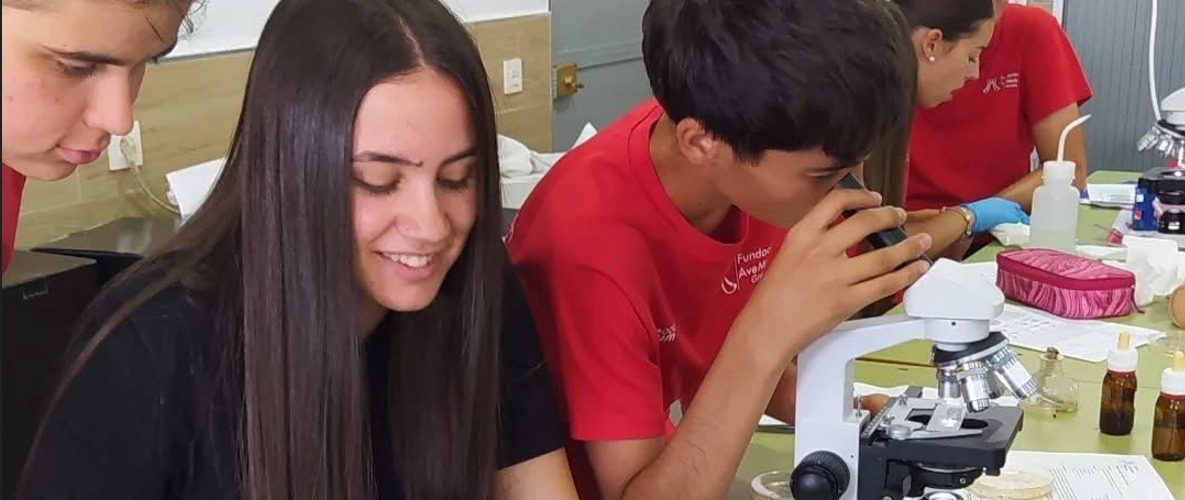 EXPLORANDO EL MUNDO MICROSCÓPICO
amgr.es/explorando-el-…