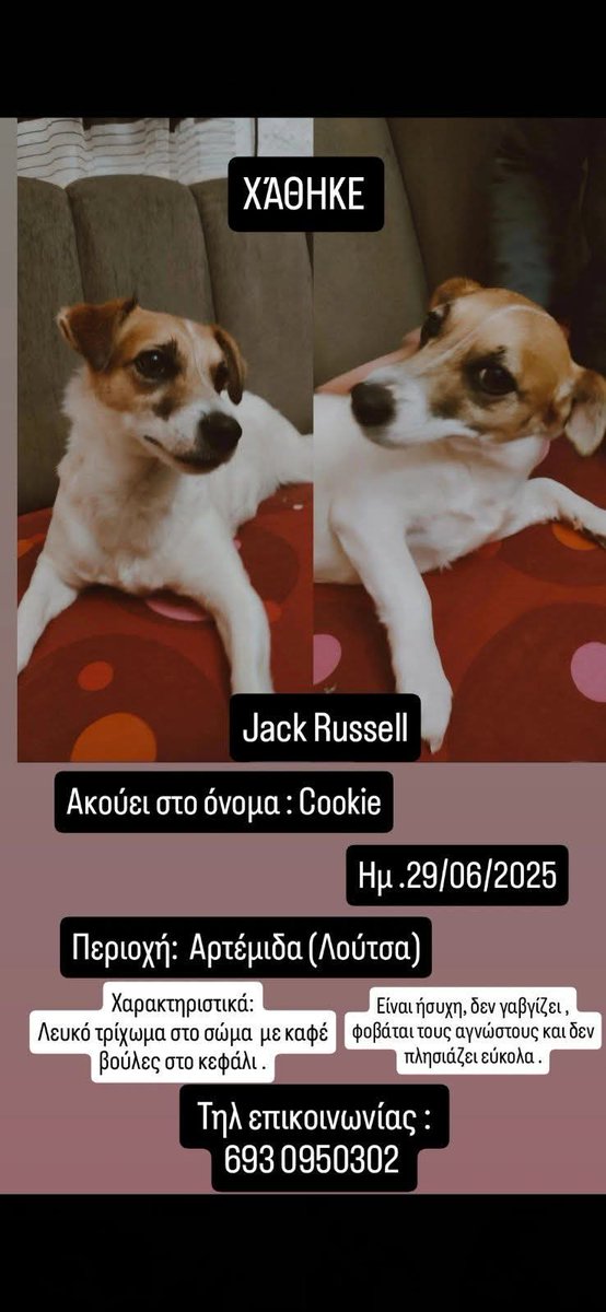 Αρτέμιδα (λούτσα)‼️🆘‼️🆘‼️🆘‼️ Χάθηκε το ψάχνει η οικογένεια του