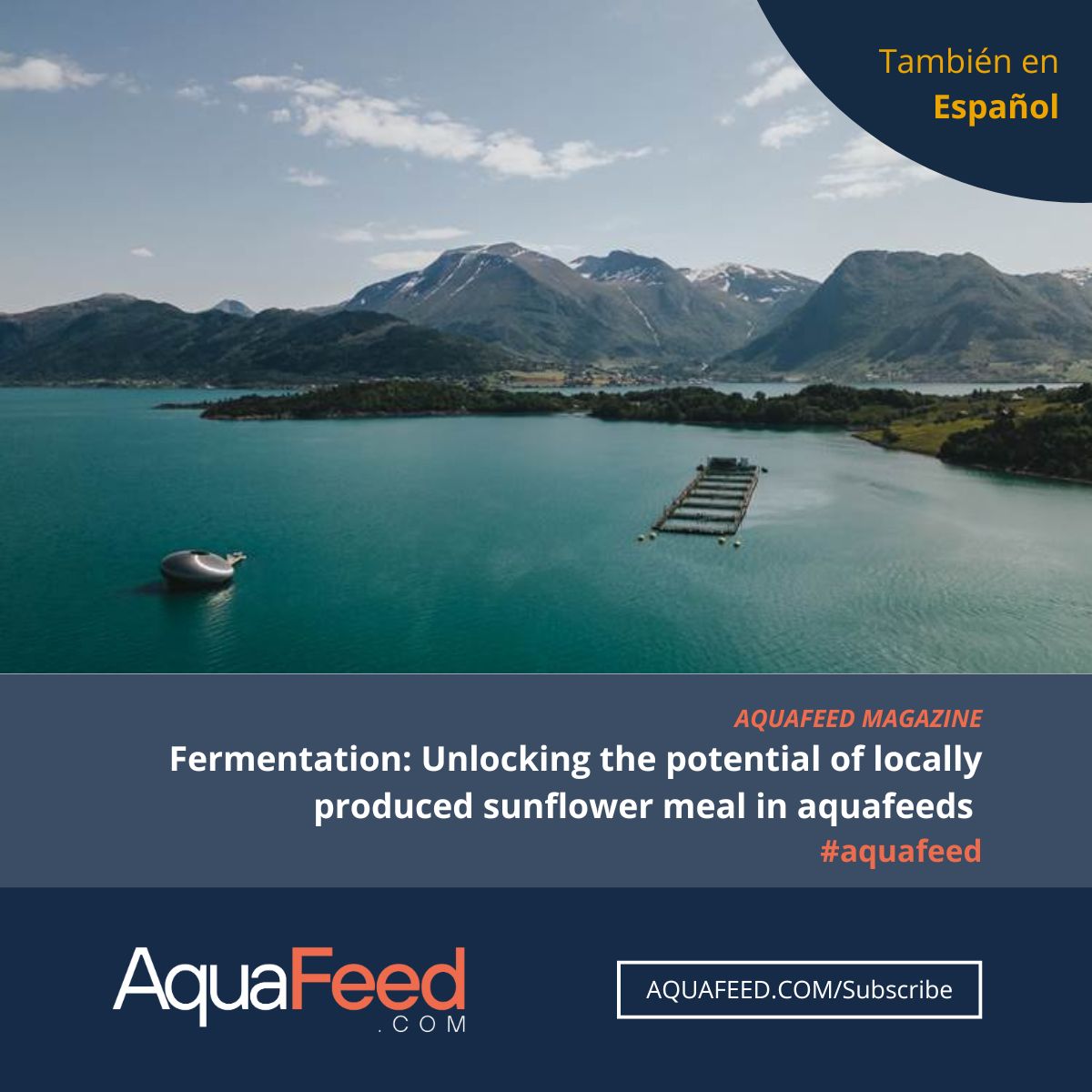 Aquafeed.com (@aquafeeddotcom) on Twitter photo Produced in Europe and cost-effective, sunflower meal's nutritional value is boosted by solid-state fermentation. Can this process revolutionize European salmon farming? Explore it in this new field study.
English 👉 magazine.aquafeed.com/books/tshc/#p=…
Español 👉 magazine.aquafeed.com/books/vooc/#p=… Produced in Europe and cost-effective, sunflower meal's nutritional value is boosted by solid-state fermentation. Can this process revolutionize European salmon farming? Explore it in this new field study.
English 👉 magazine.aquafeed.com/books/tshc/#p=…
Español 👉 magazine.aquafeed.com/books/vooc/#p=…