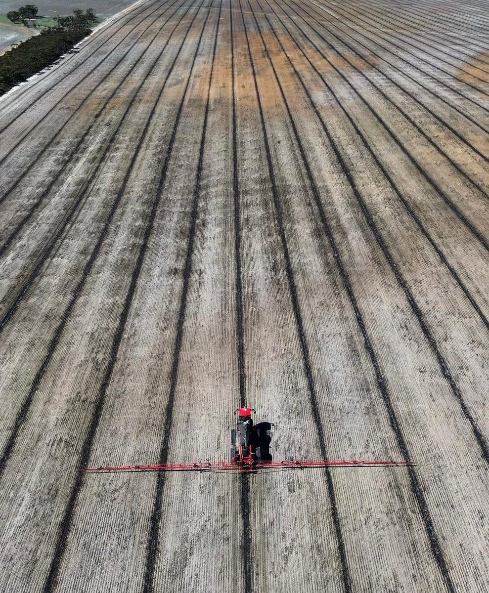 🚜 Clean paddocks, smooth coverage, and a machine that’s built to go the distance.
Agrifac makes spraying simpler when every drop hits the right spot. #AgrifacInAction #Agrifac #AgrifacAU