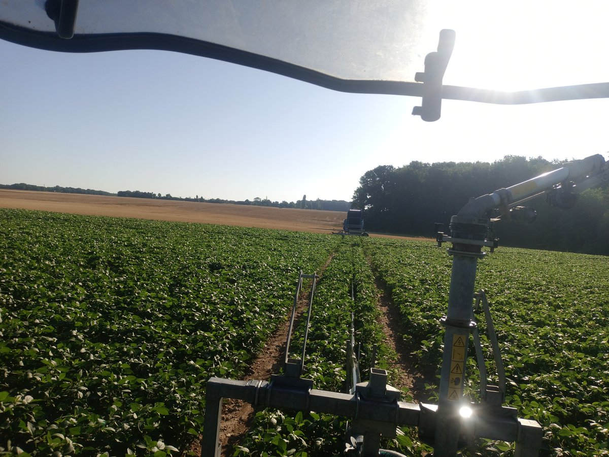 Pour un réveil tout en douceur déplace tes enrouleurs 😉 allez 5 aujourd'hui en + de la moisson