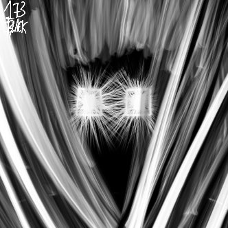 gm collectors 🏴‍☠️