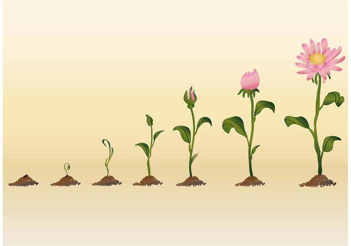 Agamjot27781445's tweet photo. Every thought is a seed. You choose what grows in your mind . #PositiveThoughtsOnly https://t.co/ezYkGfNERo
