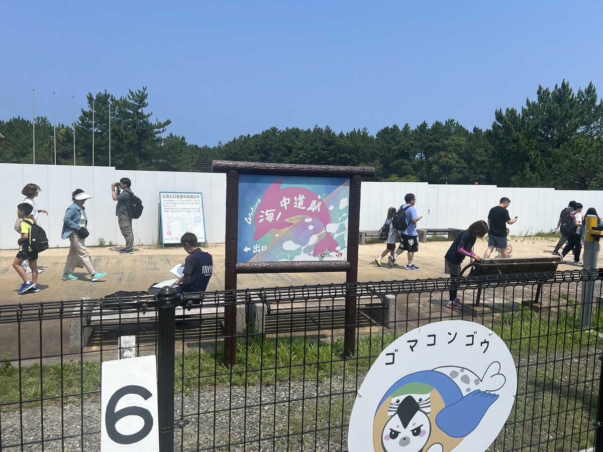 溶けそうだけど遊びに来た