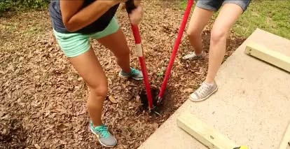 Here's a stunning way to add privacy to your outdoor areas hometalk.com/l/igcG