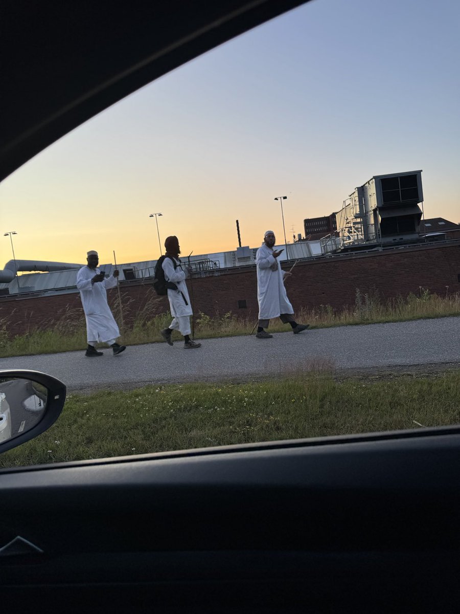 Karl XII hade 100 000 man tweet media