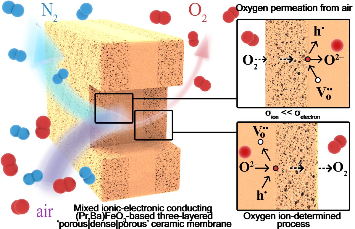 Our new article 

✴️Oxygen-ionic transport of (Pr,Ba)FeO3-based perovskite materials: Results from oxygen permeability experiments✴️

has been published in the J. Membr. Sci. <a href="/J_Membrane_Sci/">Journal of Membrane Science</a> 

doi.org/10.1016/j.mems…
50 days free access link: authors.elsevier.com/a/1lLMe1LgHNrc…

see thread