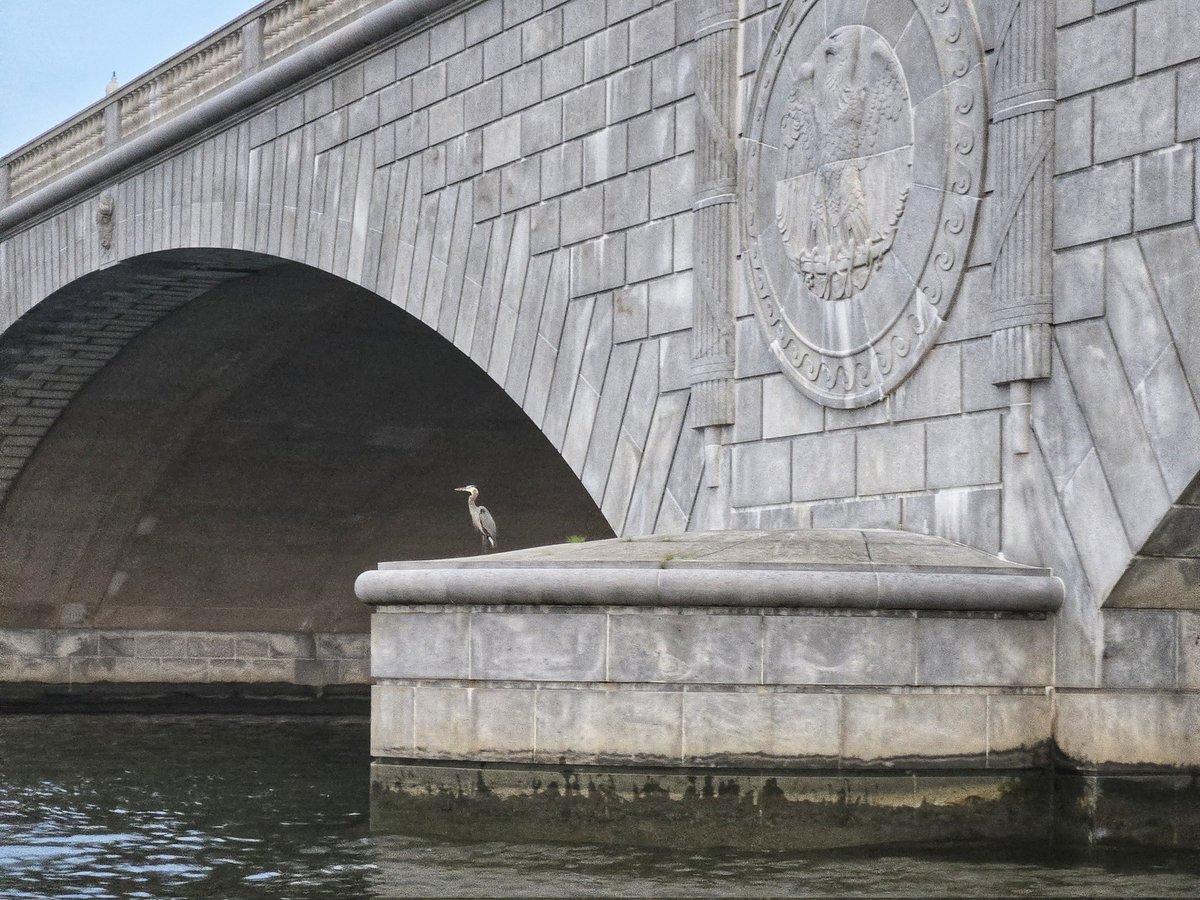 PatriciaBryantWeiner (@bryantweiner) on Twitter photo Gorgeous views of Washington DC from our boat cruise with <a href="/KedcARTS/">RENAISSANCE Grant</a> <a href="/KEDCGrants/">KEDC Grants</a>. Love learning about the history of the city while enjoying the breeze from the water. <a href="/DrJWEvansJr/">Jim Evans Ed.D.</a> <a href="/KingWendy_m/">Wendy King</a> Gorgeous views of Washington DC from our boat cruise with <a href="/KedcARTS/">RENAISSANCE Grant</a> <a href="/KEDCGrants/">KEDC Grants</a>. Love learning about the history of the city while enjoying the breeze from the water. <a href="/DrJWEvansJr/">Jim Evans Ed.D.</a> <a href="/KingWendy_m/">Wendy King</a>