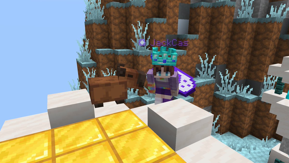 won biome battle, had lots of fun, got 2nd indiv and raised 1.6k for charity
i love gay people