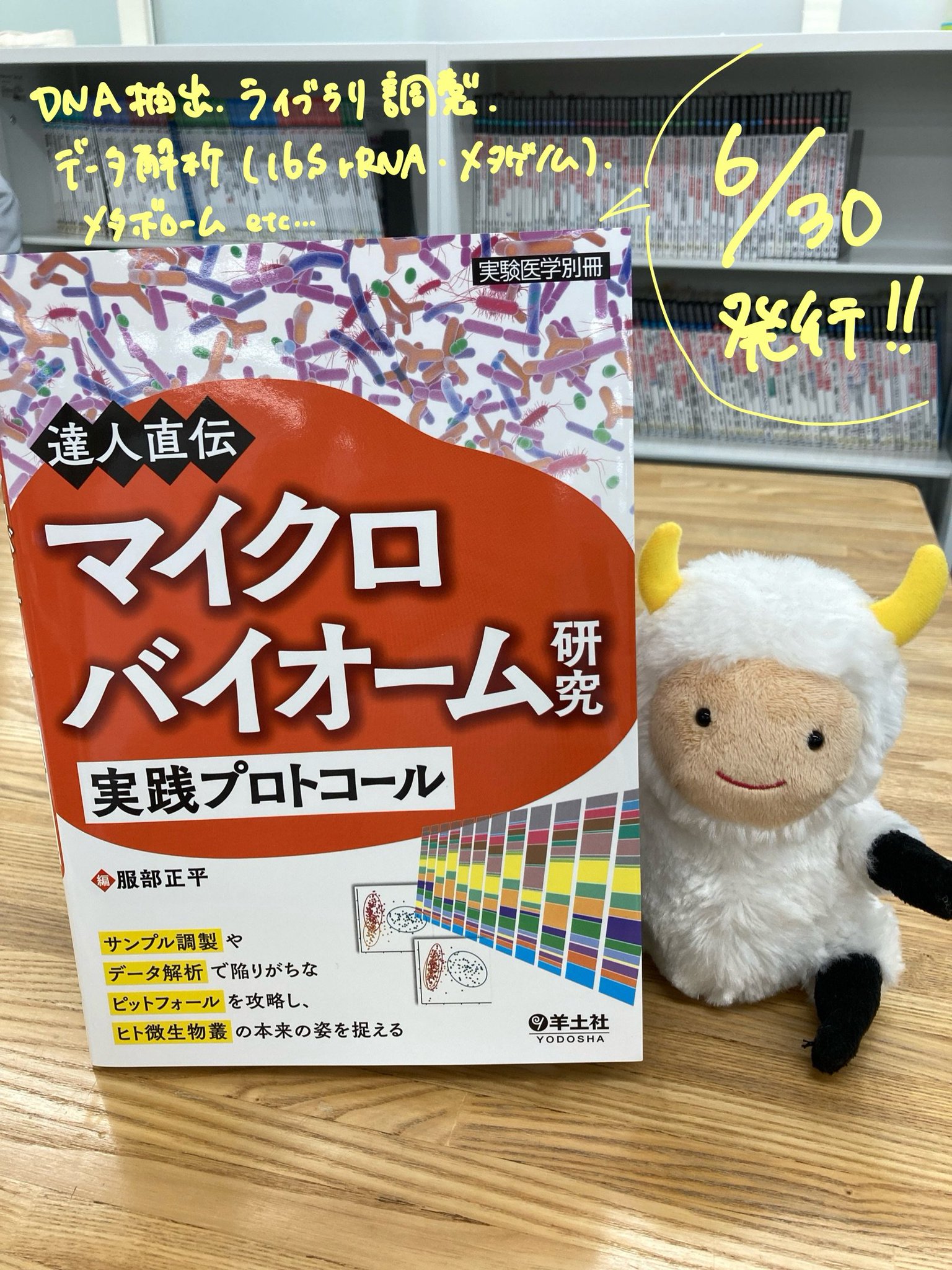 達人直伝 マイクロバイオーム研究実践プロトコール 実験医学別冊：達人直伝 マイクロバイオーム研究実践