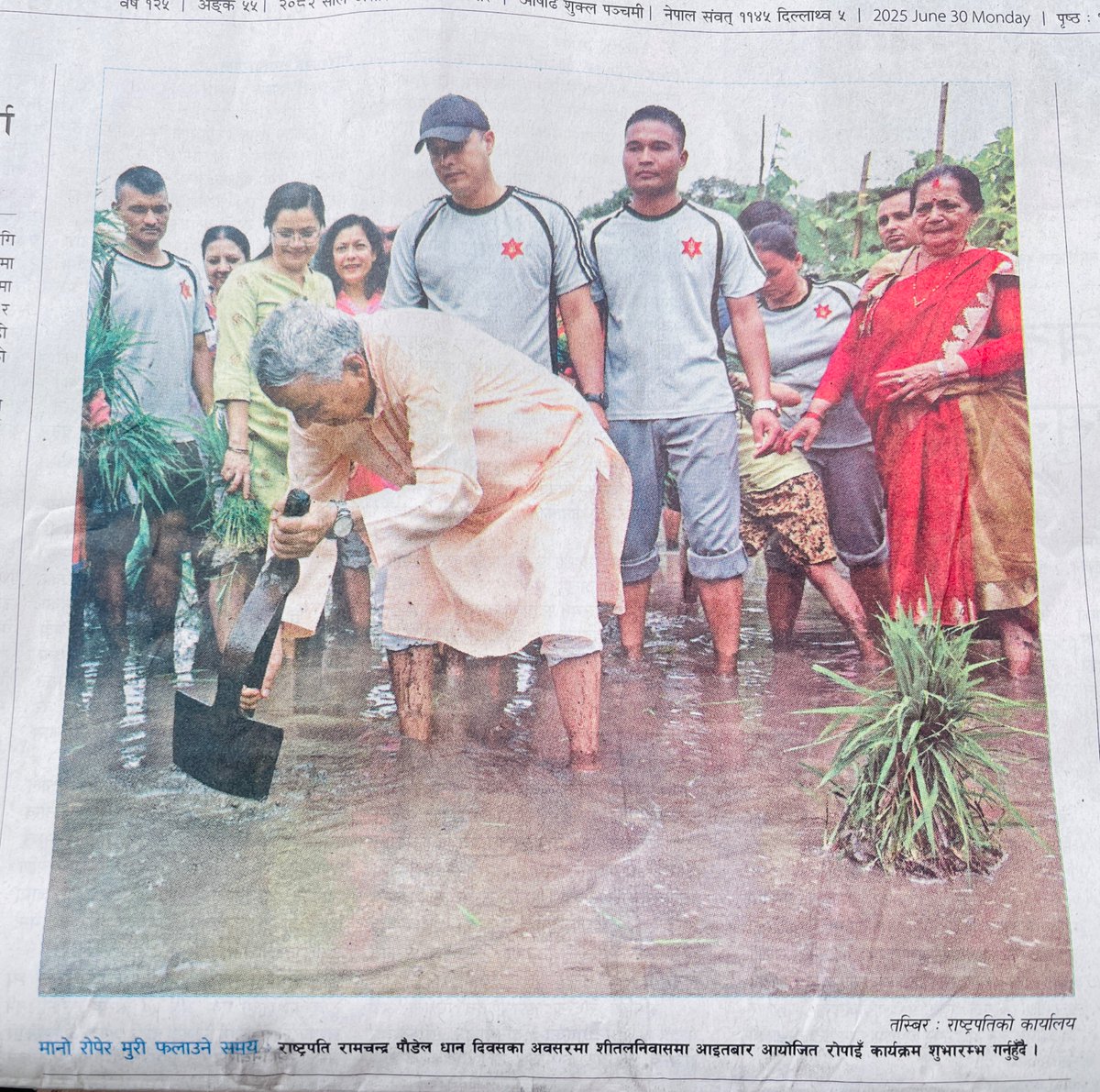 dRC2074's tweet photo. यति मेहेनत गरेपछि सितल निवास धान उत्पादनमा आत्मनिर्भर कसो नहोला र | https://t.co/YR5U83JC1H