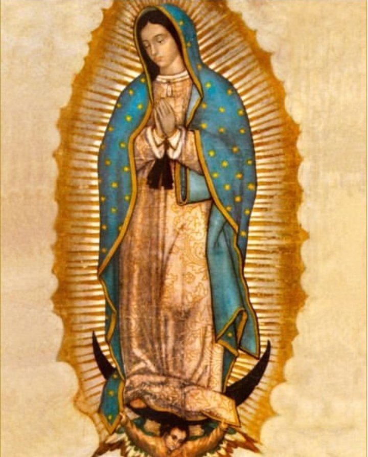✝️ Dios te salve, María, 
llena eres de gracia;
el Señor es contigo.
Bendita Tú eres 
entre todas las mujeres,
y bendito es el fruto de tu vientre, Jesús. 

Santa María, Madre de Dios,
ruega por nosotros, pecadores,
ahora y en la hora de nuestra muerte. Amén 🙏