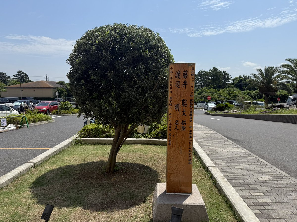 棋聖戦第３局大盤解説会のため木更津の竜宮城スパホテル三日月へ
入浴券付きなのが嬉しいですね
定点観測している記念樹🌳
去年は傾いていたので心配してましたがまんまるくなって元気でした😄
藤井棋聖を全力応援📣