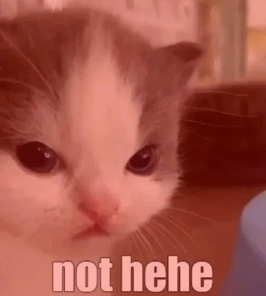 The Cats 𝕏 (@thecatsx) on Twitter photo 