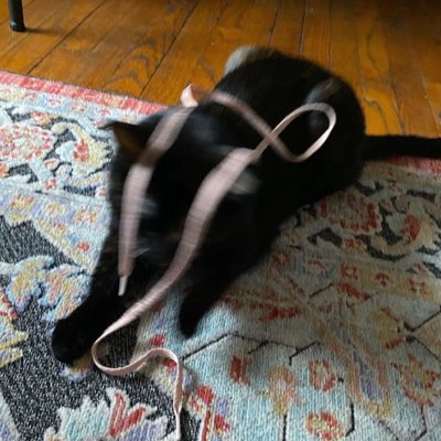 lorenndraws's tweet image. #NewProfilePic