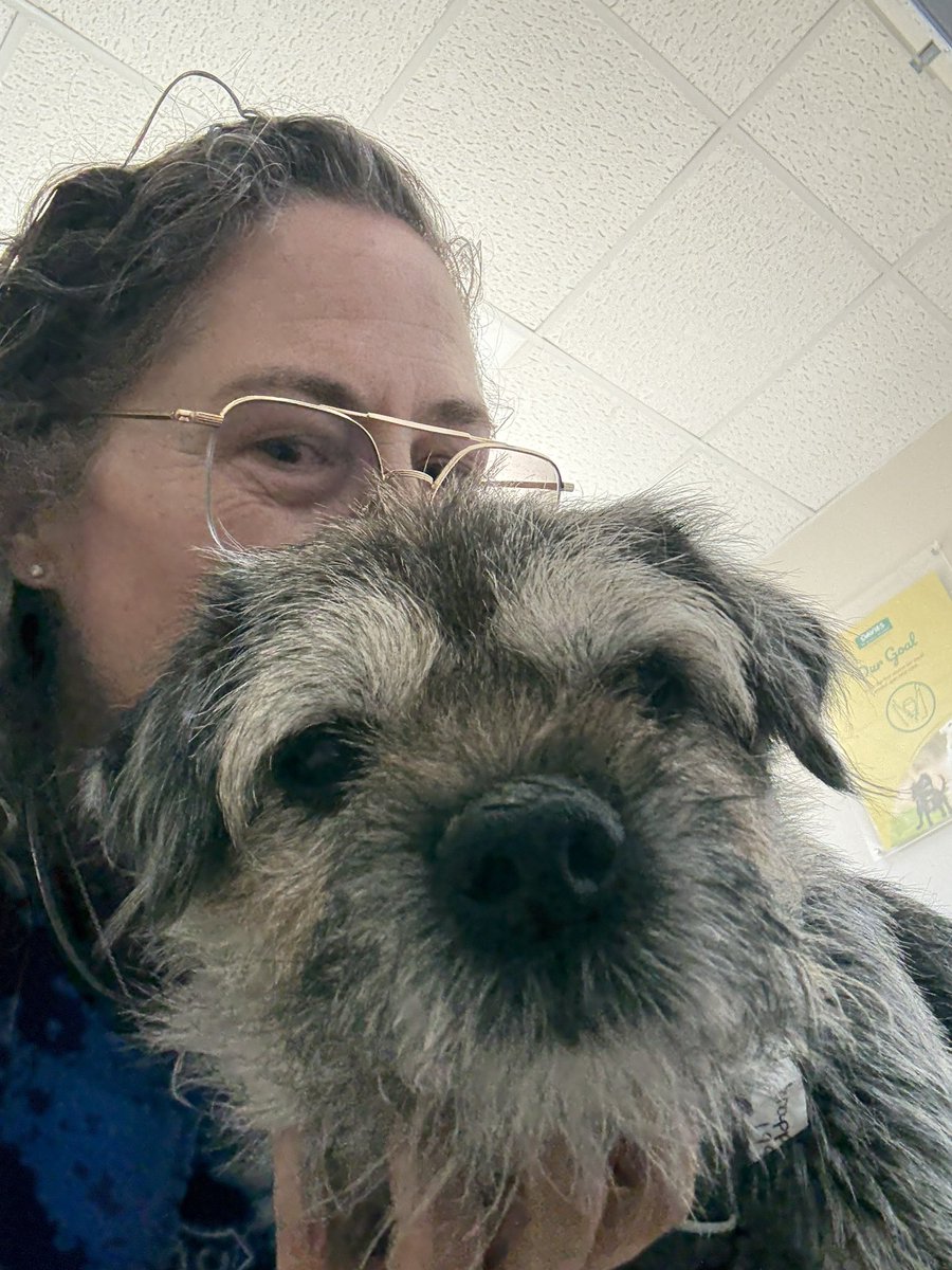 Mum read that our hair turns grey because of all the kisses rubbing the colour away and I think she’s right. Old age is a privilege, and what fun times I’ve had with Maggot and my olds. If I could do it again I wouldn’t change it #ScrappyNelson #dogsofX #btposse #MondayMotivation