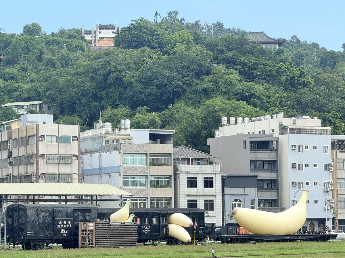 Ramimo77's tweet image. どんどん褪せていくバナナ

2024.12
2025.4
2025.6