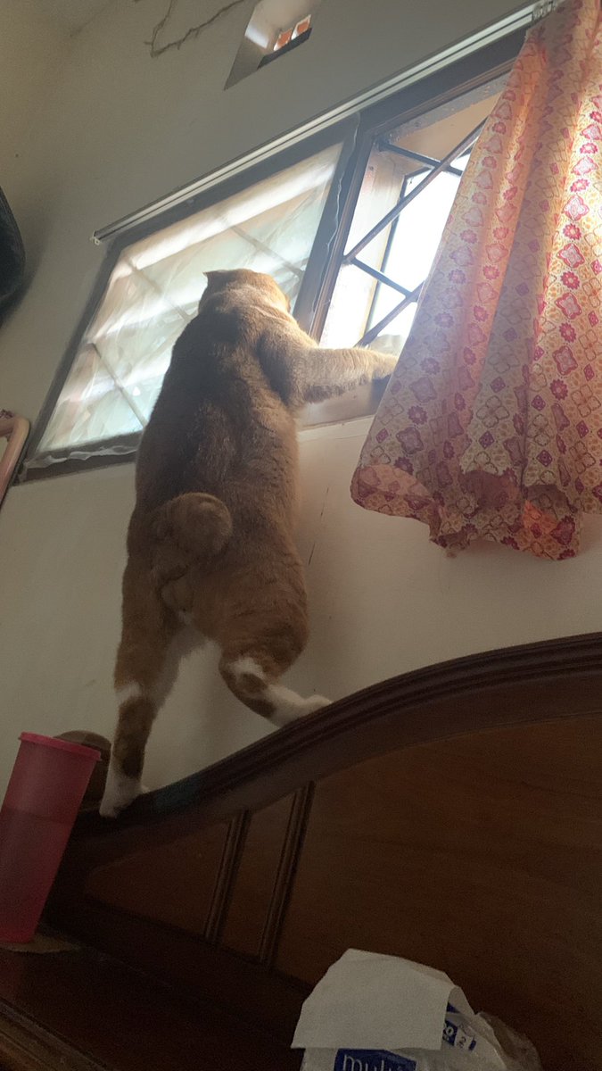 mbuy 😾 tweet media