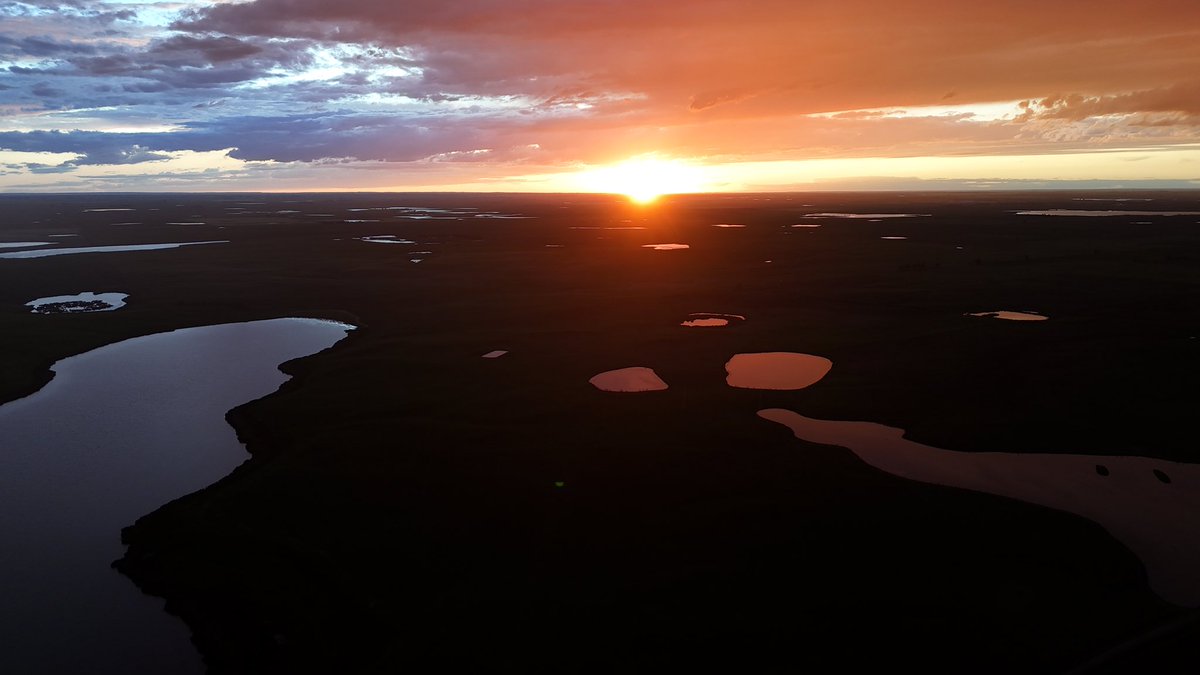 Couldn’t ask for a nicer rain than tonight!  Just amazing!