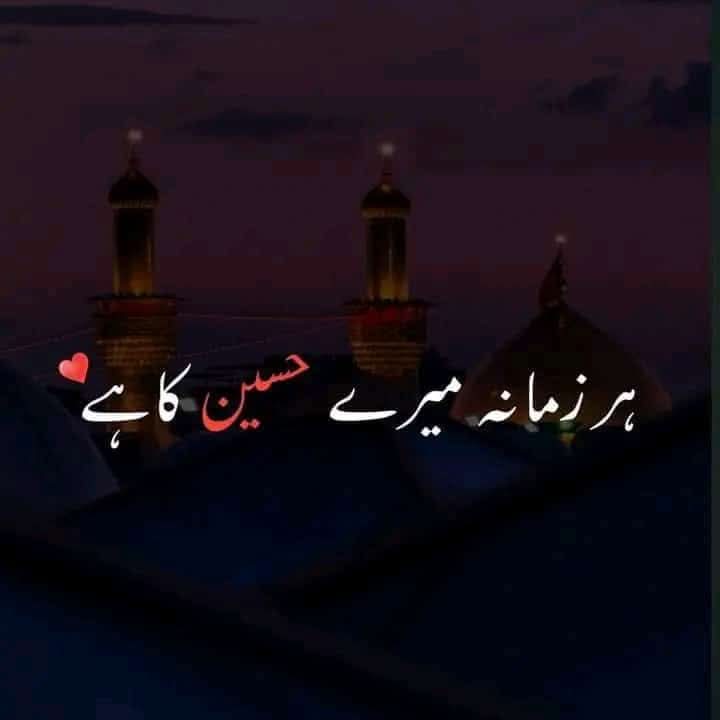 HAIDER tweet media