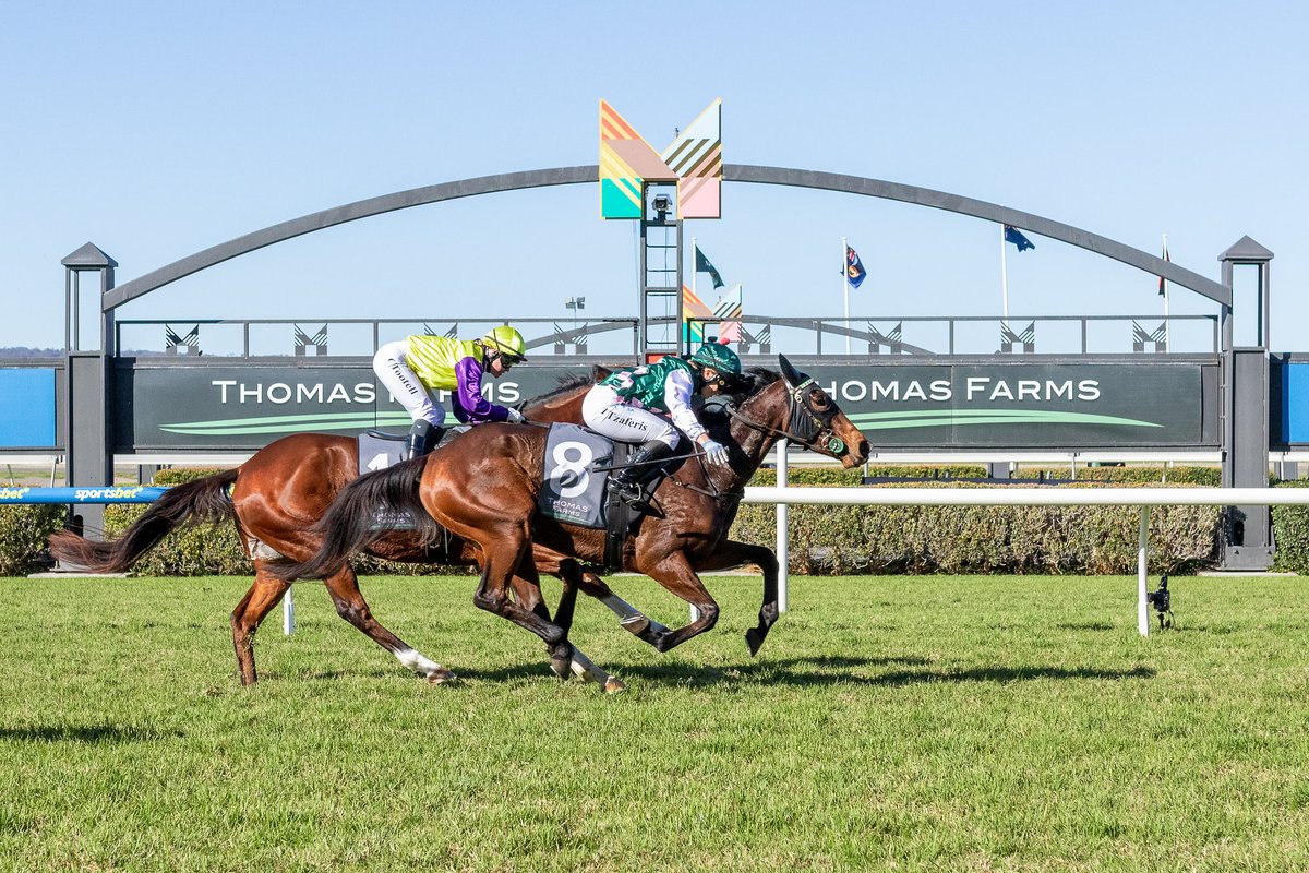 Tzaferis Racing (@tzaferisracing) on Twitter photo Welcome to the official X account for Tzaferis Racing, the stable of dual license trainer and jockey <a href="/TzafJess/">Jess Tzaferis</a>.
This will be a platform to share news, provide updates on key runners, advertise ownership opportunities & keep followers up to date on upcoming events. Welcome to the official X account for Tzaferis Racing, the stable of dual license trainer and jockey <a href="/TzafJess/">Jess Tzaferis</a>.
This will be a platform to share news, provide updates on key runners, advertise ownership opportunities & keep followers up to date on upcoming events.