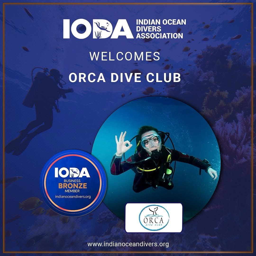 IODA welcomes <a href="/orcadiveclub/">Orca Dive Club</a> to this exciting journey.

The Indian Ocean Divers Association (IODA) is more than just a community of divers—it is a movement dedicated to preserving the rich marine biodiversity of the Indian Ocean, promoting responsible and sustainable dive tourism.