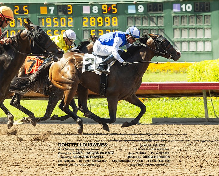 Leonard powell (@leopowellracing) on Twitter photo Donttellourwives makes it back to back wins, defeating elders, under <a href="/JockeyHerrera/">Diego Herrera</a> , <a href="/losalracing/">Los Alamitos Race Course</a> ! Congrats to owners Larry Katz, Gary Jacobs and Doug! Sourced <a href="/OBSSales/">OBSSales</a> by <a href="/pender_mike/">Mike Pender Racing Stables</a> . Thanks all involved !! Donttellourwives makes it back to back wins, defeating elders, under <a href="/JockeyHerrera/">Diego Herrera</a> , <a href="/losalracing/">Los Alamitos Race Course</a> ! Congrats to owners Larry Katz, Gary Jacobs and Doug! Sourced <a href="/OBSSales/">OBSSales</a> by <a href="/pender_mike/">Mike Pender Racing Stables</a> . Thanks all involved !!