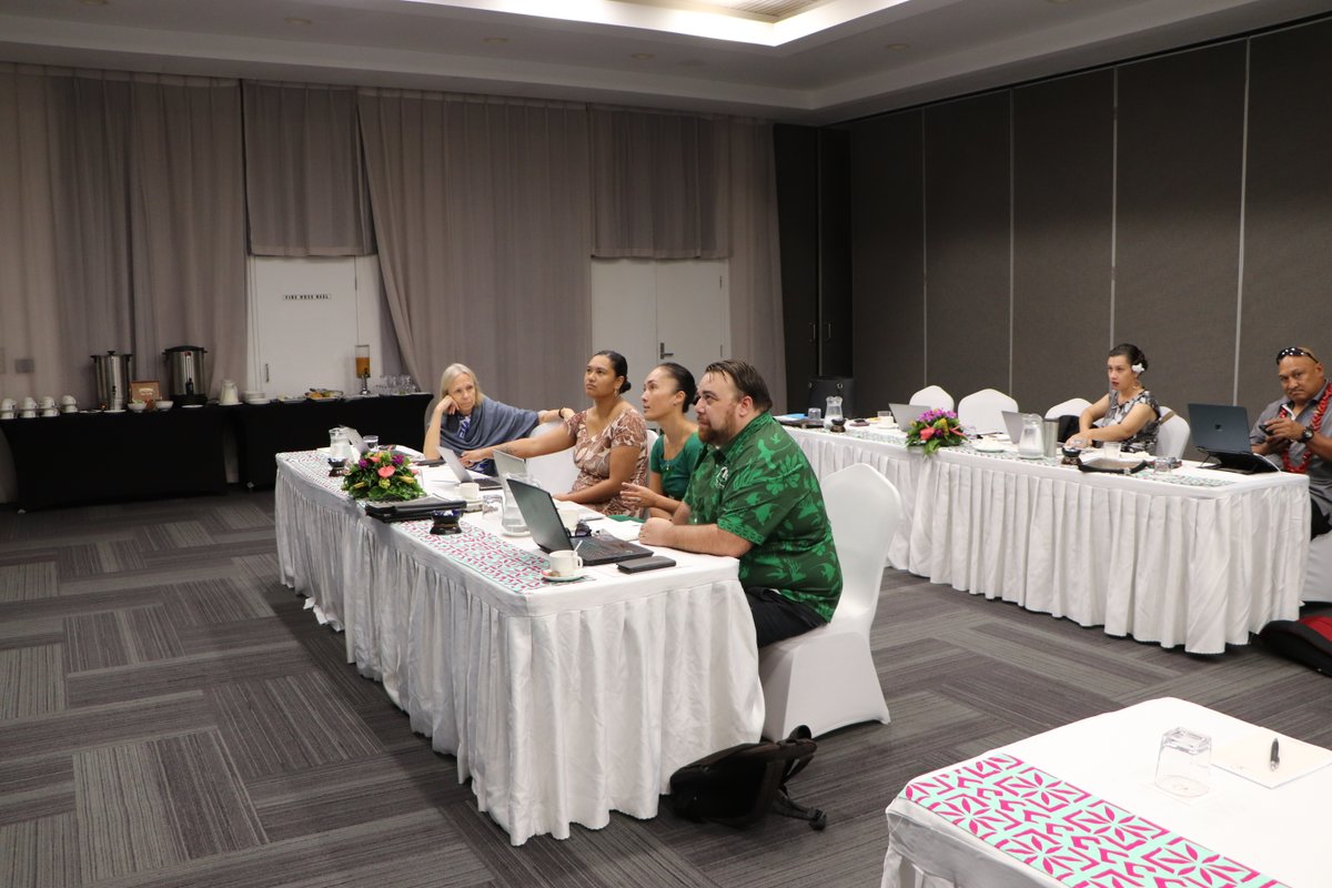 Safeguards training on <a href="/UNDP/">UN Development</a>'s social &amp; environment standards for our implementing partners &amp; project teams across 🔑 sectors, to strengthen safeguards integration &amp; compliance. 
Reinforcing our commitment to inclusive, risk-informed &amp; sustainable development in 🇼🇸 &amp; the region.