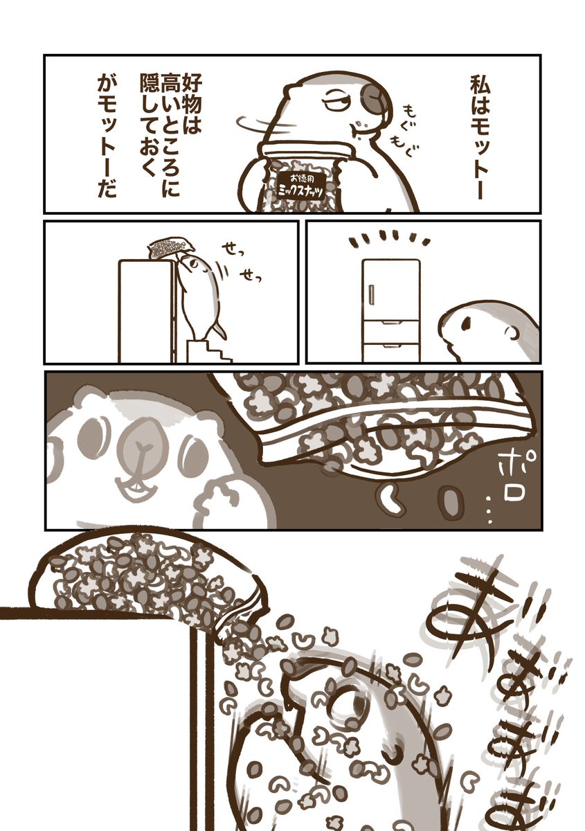 marmottooooo's tweet image. その41🥜