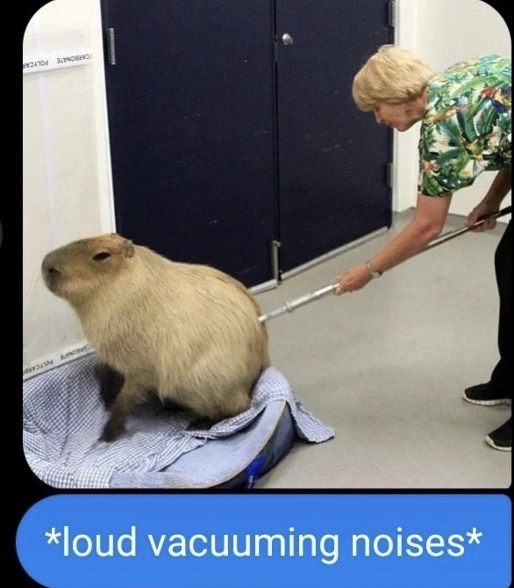 WholesomeMemes (@wholesomememe) on Twitter photo 